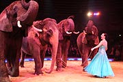 African Queens mit Jana Mandana (Foto: Martin Schmitz)